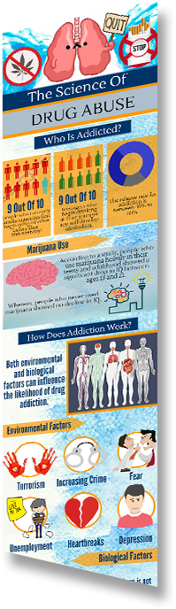 infographic sample